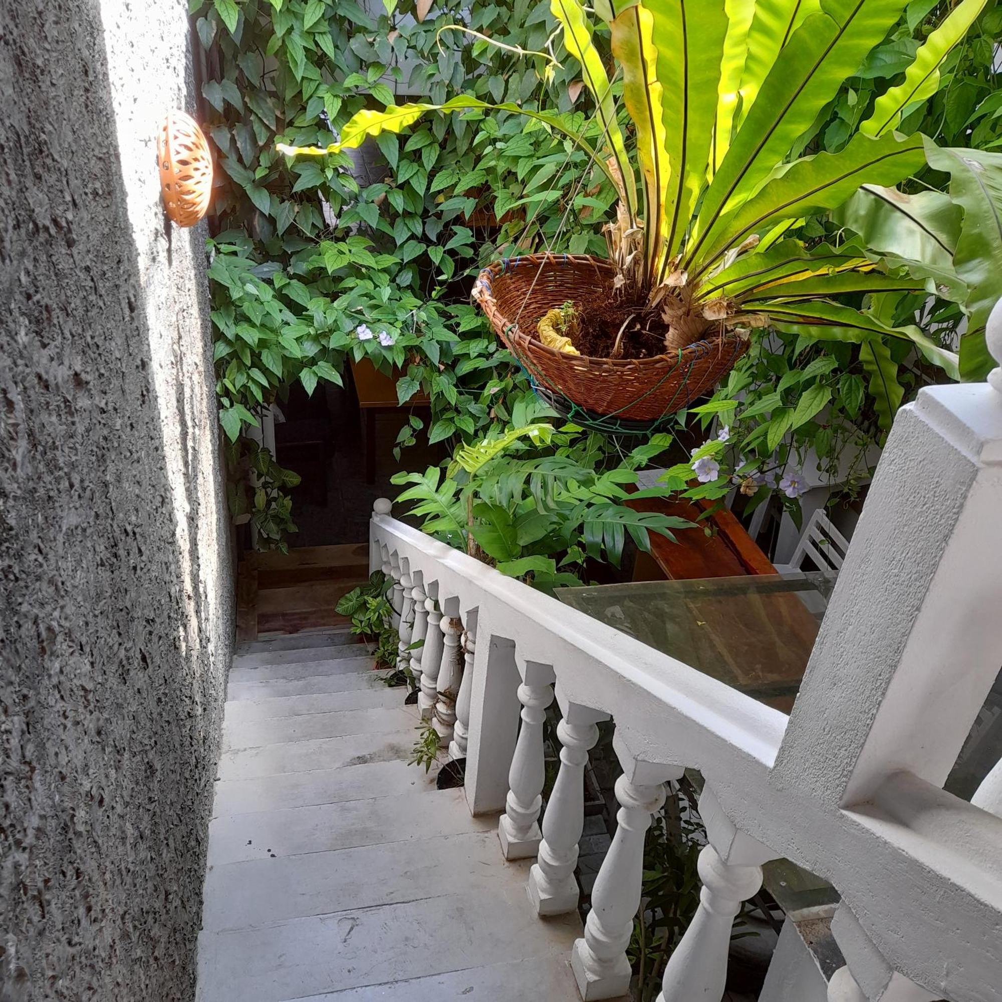 Shoba Traveller'S Tree Homes Stay Galle Εξωτερικό φωτογραφία