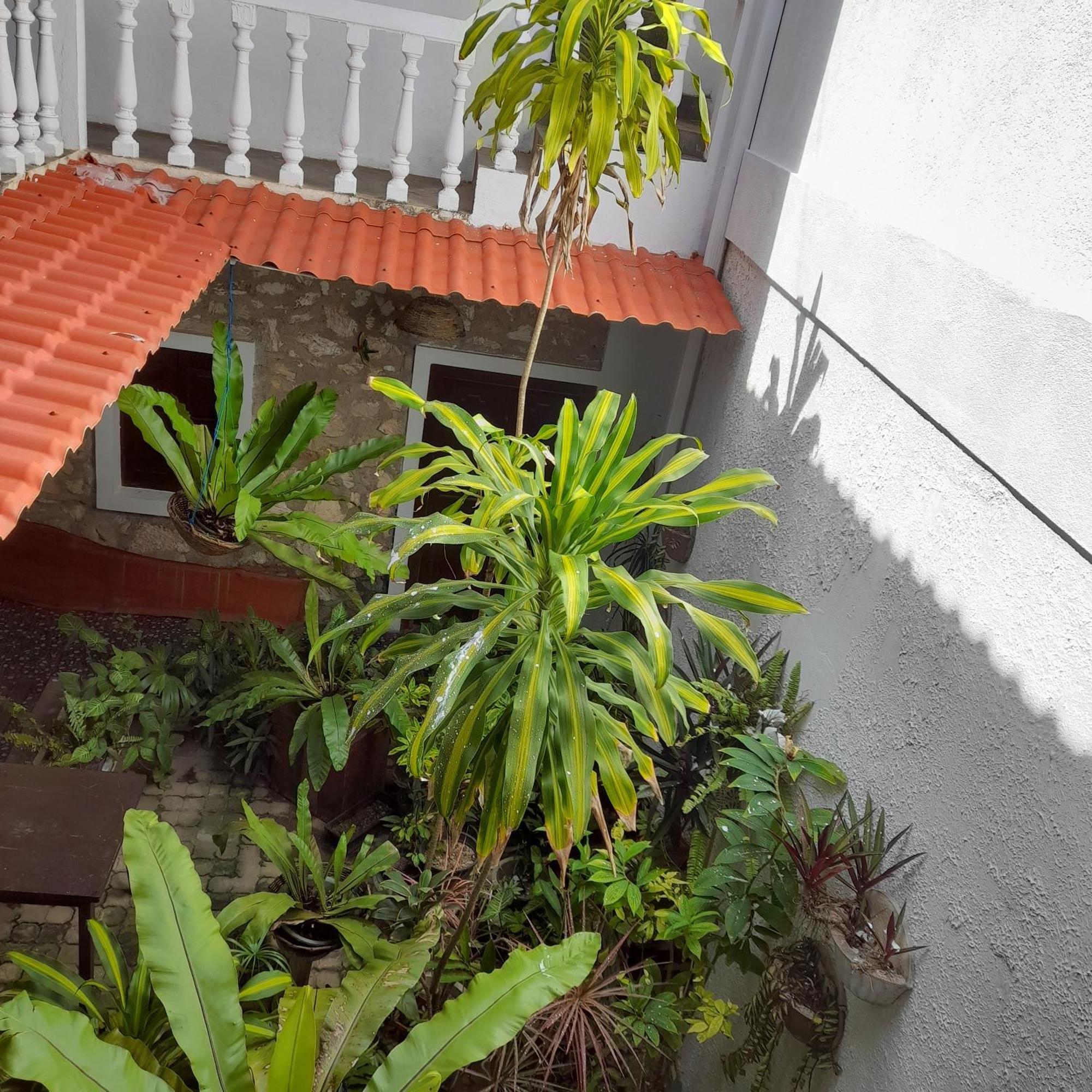 Shoba Traveller'S Tree Homes Stay Galle Εξωτερικό φωτογραφία
