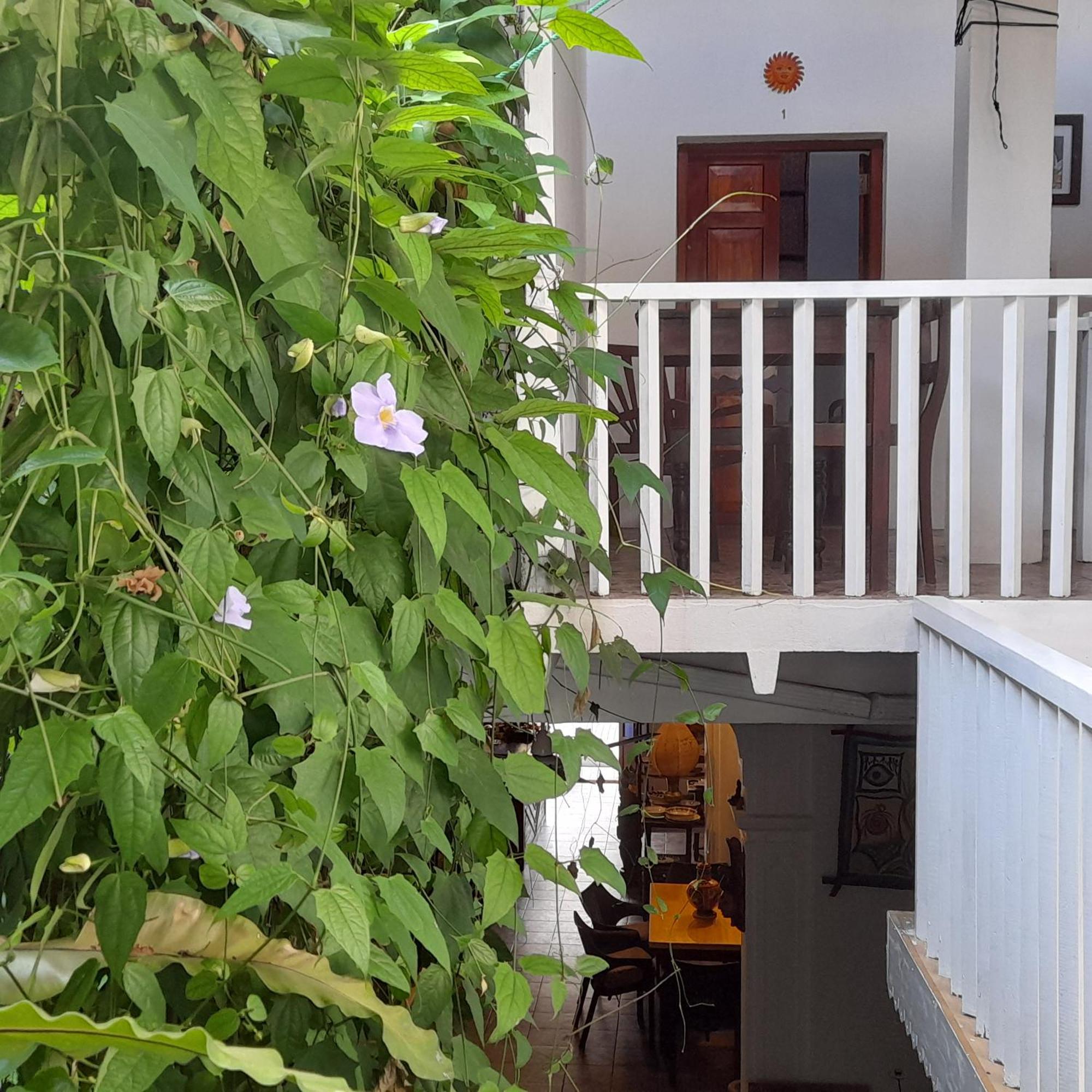 Shoba Traveller'S Tree Homes Stay Galle Εξωτερικό φωτογραφία